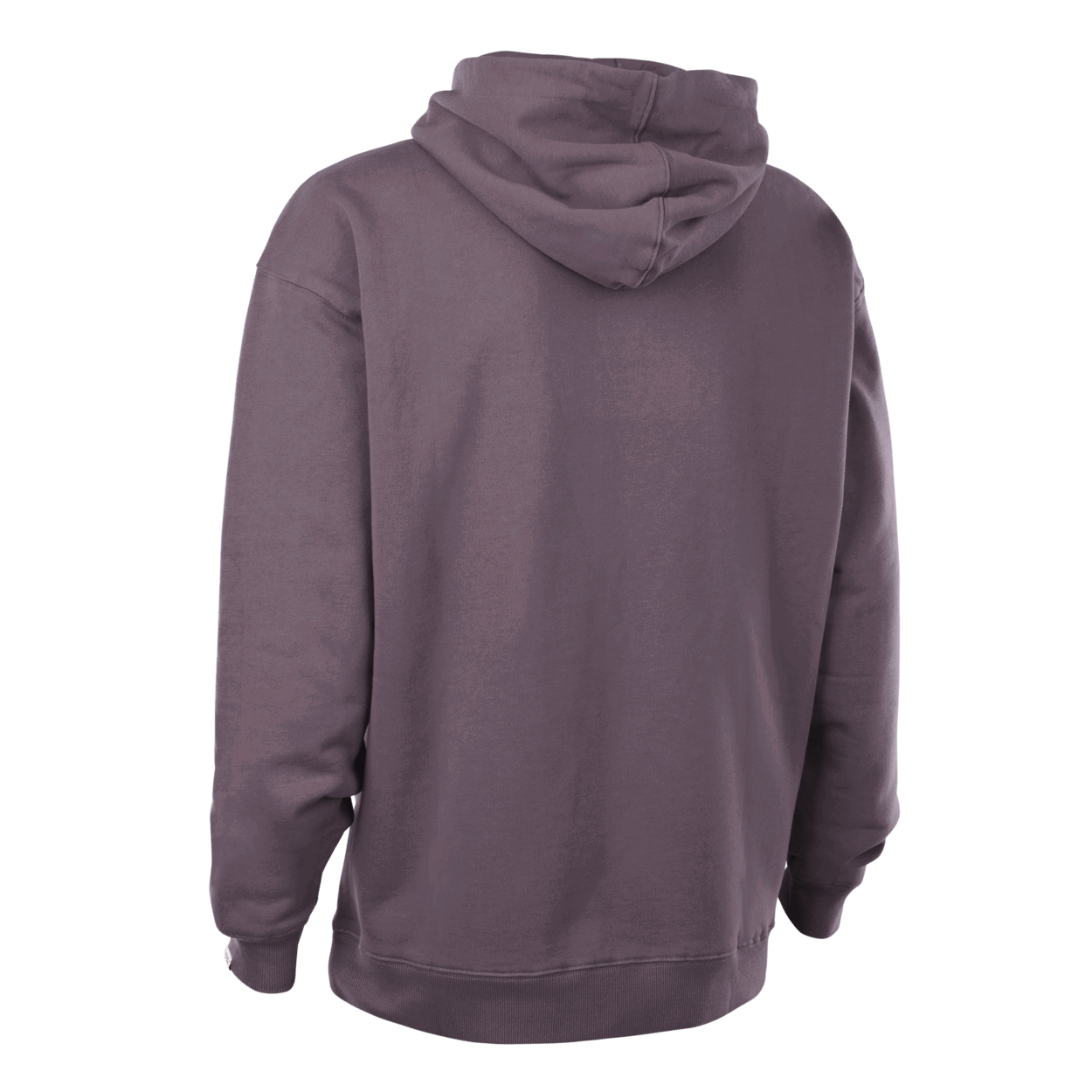 ION Hoodie IONIC men 2027